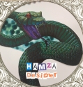 Hamza – Designer